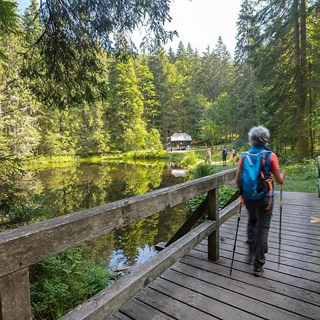 Nr 14, Typ A, Jaegerpark, Bayerischer Wald * ヴィヒタッハ