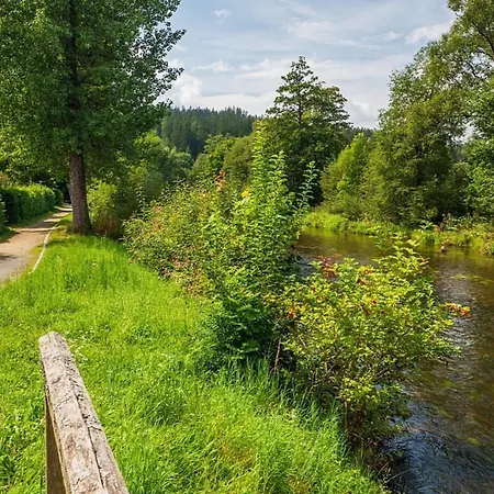 別荘 Nr 14, Typ A, Jaegerpark, Bayerischer Wald