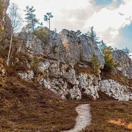 Nr 14, Typ A, Jaegerpark, Bayerischer Wald * ヴィヒタッハ