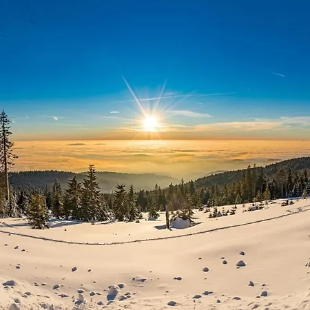 Nr 14, Typ A, Jaegerpark, Bayerischer Wald