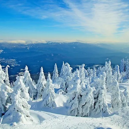 Дом отдыха Nr 14, Typ A, Jaegerpark, Bayerischer Wald *