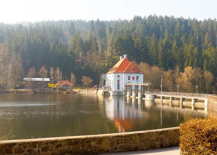 Nr 14, Typ A, Jaegerpark, Bayerischer Wald בית נופש וייכטאך