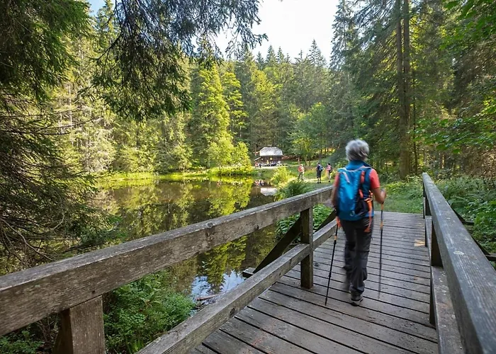 Nr 14, Typ A, Jaegerpark, Bayerischer Wald * וייכטאך