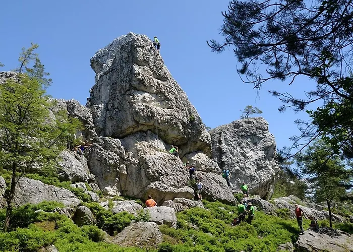 Nr 14, Typ A, Jaegerpark, Bayerischer Wald בית נופש