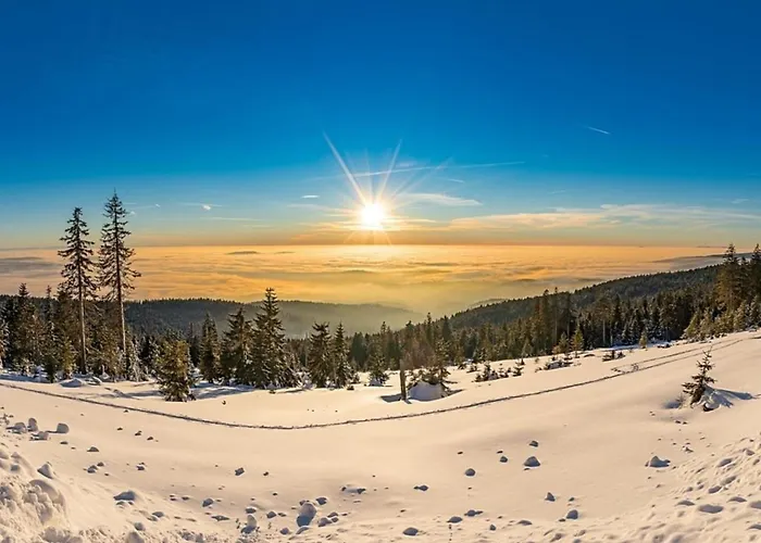 Nr 14, Typ A, Jaegerpark, Bayerischer Wald